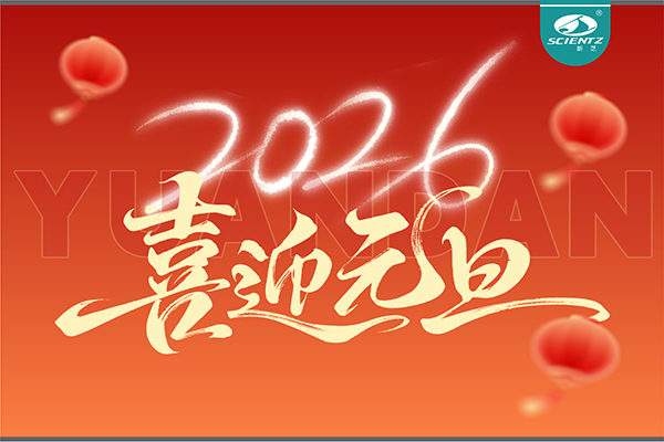 董事长周芳女士新年献词：心有定力，沐光而行